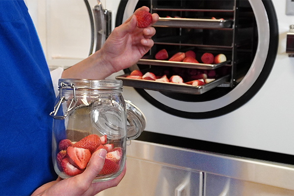 food freeze dryer
