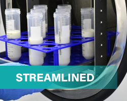 Unveiling-CD8-all-in-one