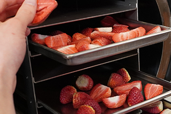 freeze dryer for freeze drying food